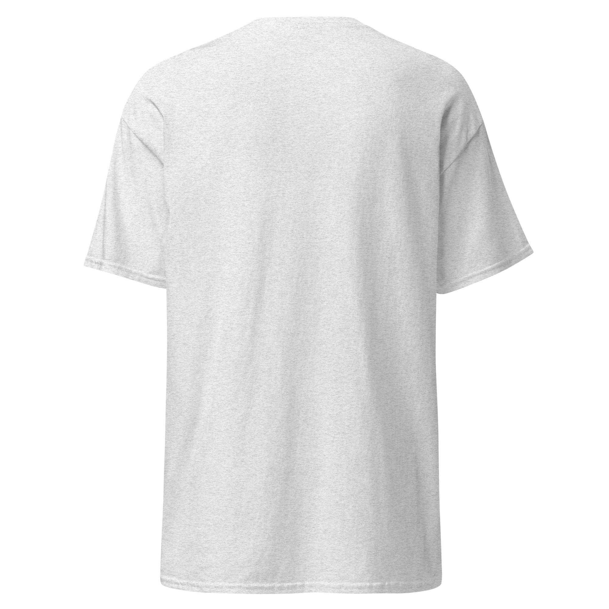 unisex-classic-tee-ash-back-6a60d2185f967.jpg